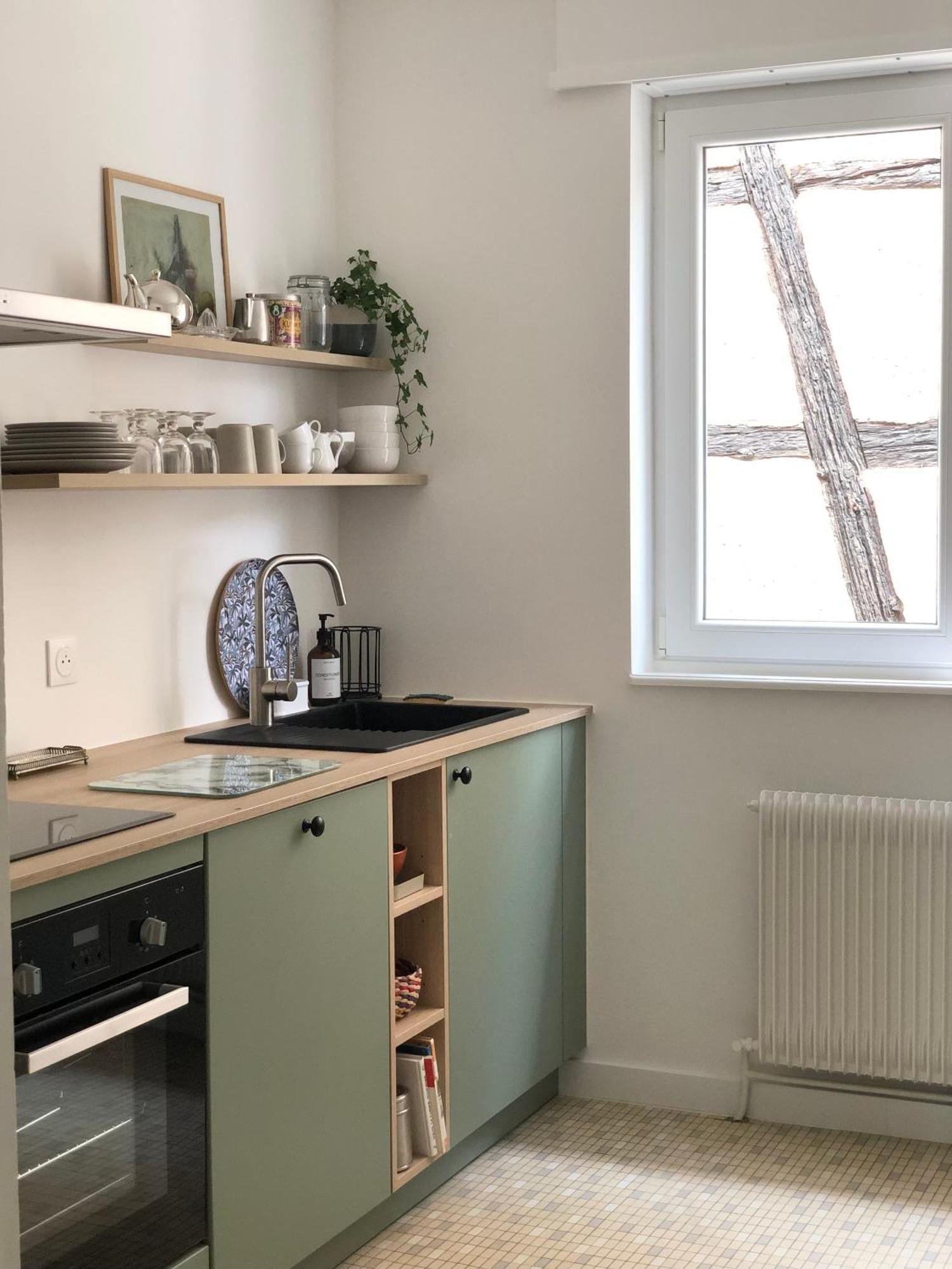 Appartement Coeur De Ville Cathedrale - Ascenseur - Colmar Ngoại thất bức ảnh